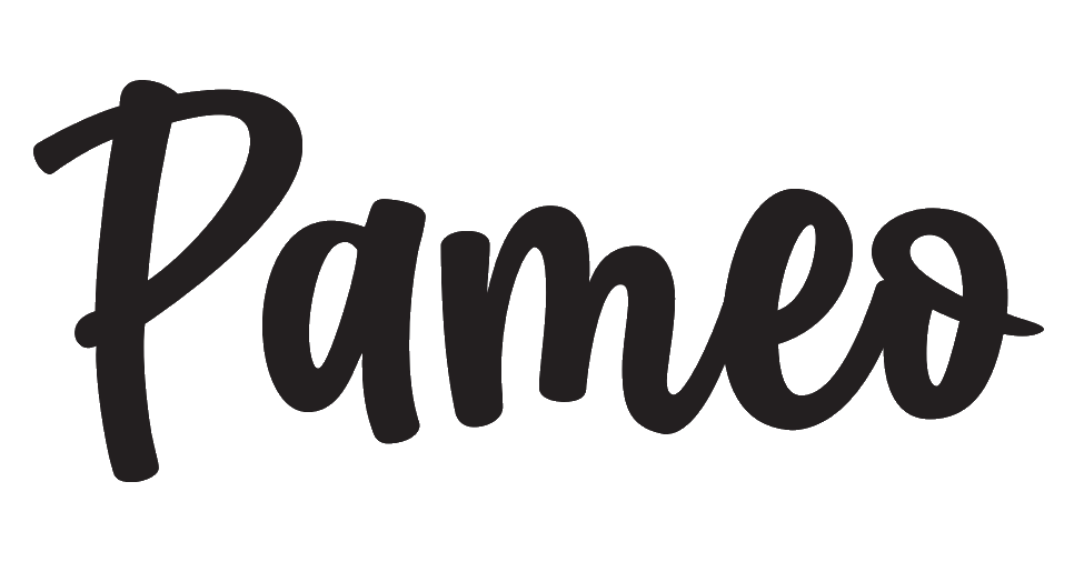 Logo of Pameo Ice Cream