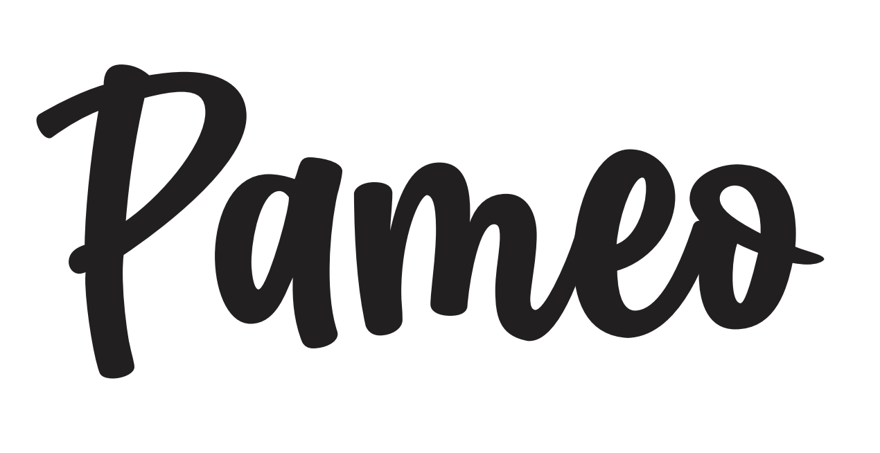 Logo of Pameo Ice Cream